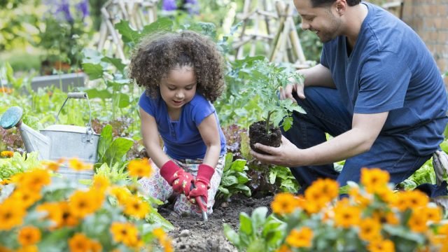 best ways to engage kids in gardening
